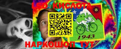 индика Нальчик