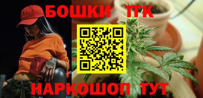 индика Нальчик