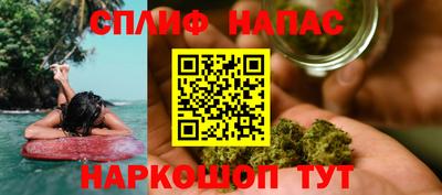 индика Нальчик