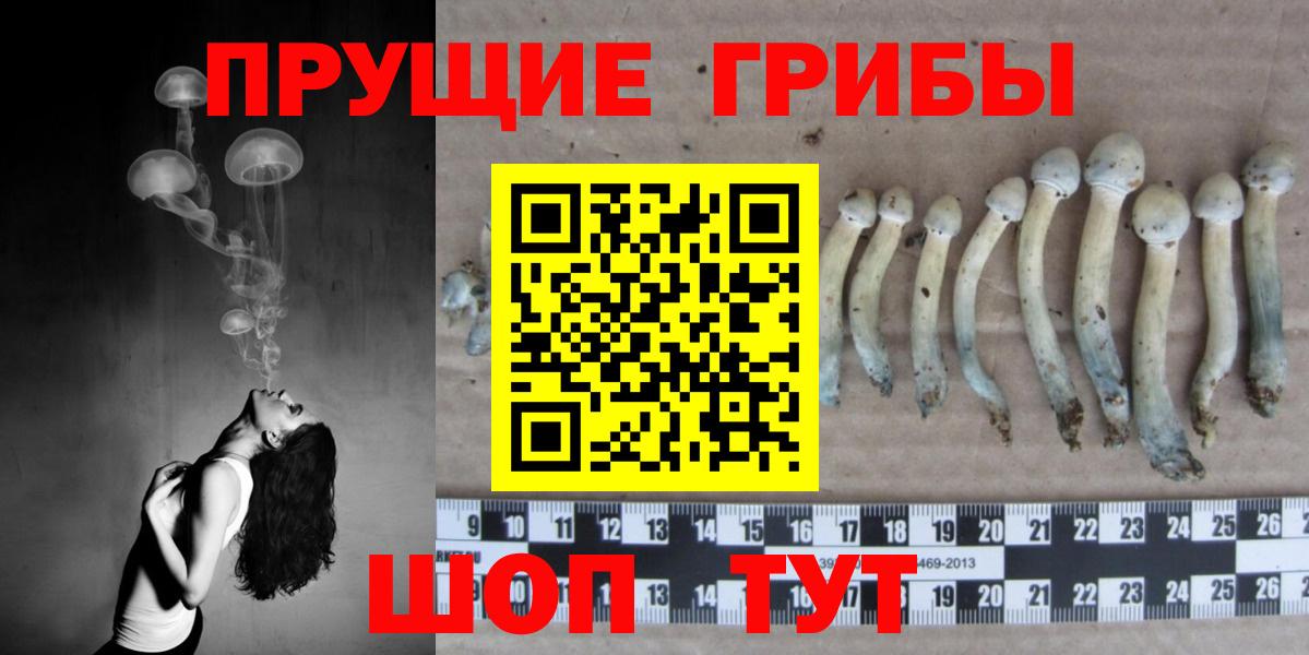 Псилоцибиновые грибы Psilocybe  Вход с VPN  Галлюциногенные грибы Magic Shrooms  Ялуторовск 